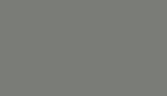 Aluminium (W2 RAL 9006)