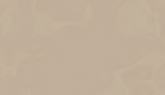 Beige (BE)
