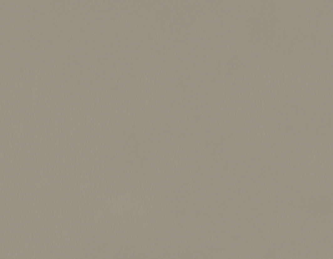 Beige Grijs (GD)