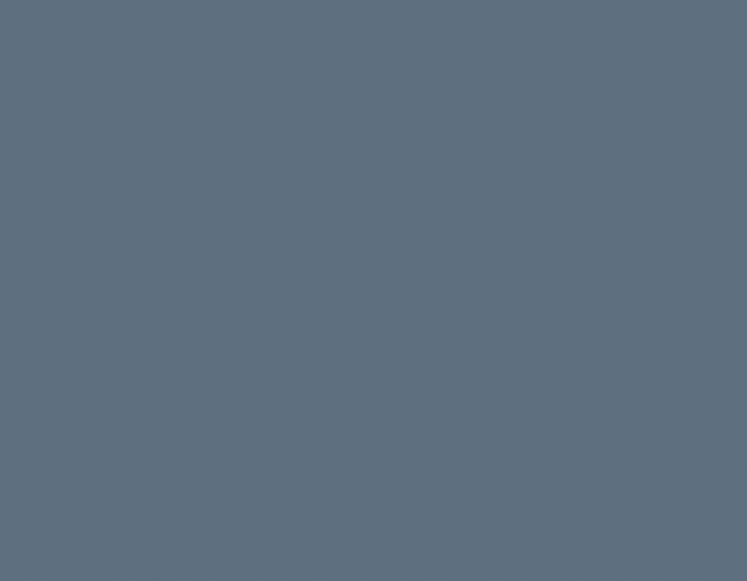 Rook Blauw (BQ)